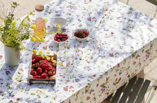 Et bord ute som er dekket med bær og drikke