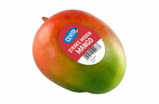 bilde av en mango
