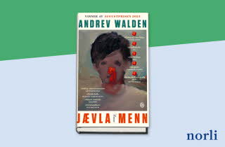 Boken "Jævla menn" av Andrev Walden.