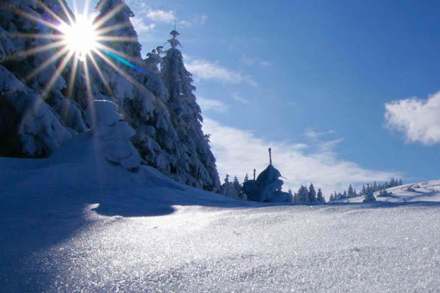 Sol/Vinterbilde med snø