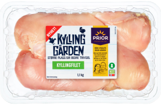 bilde av kylling gården kylling