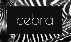 Cebra - Klær