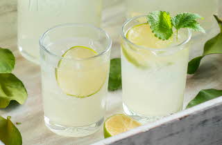 To glass fylt med lemonade med en skive sitron og mint
