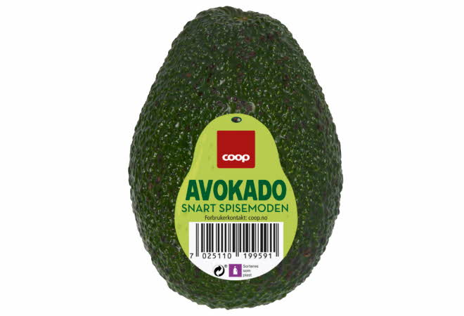 En stor snart spisemoden avokado fra Coop.