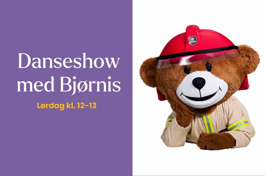 bjørnis