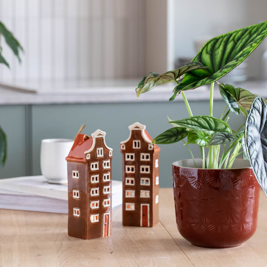 Grønne planter fra Mester Grønn