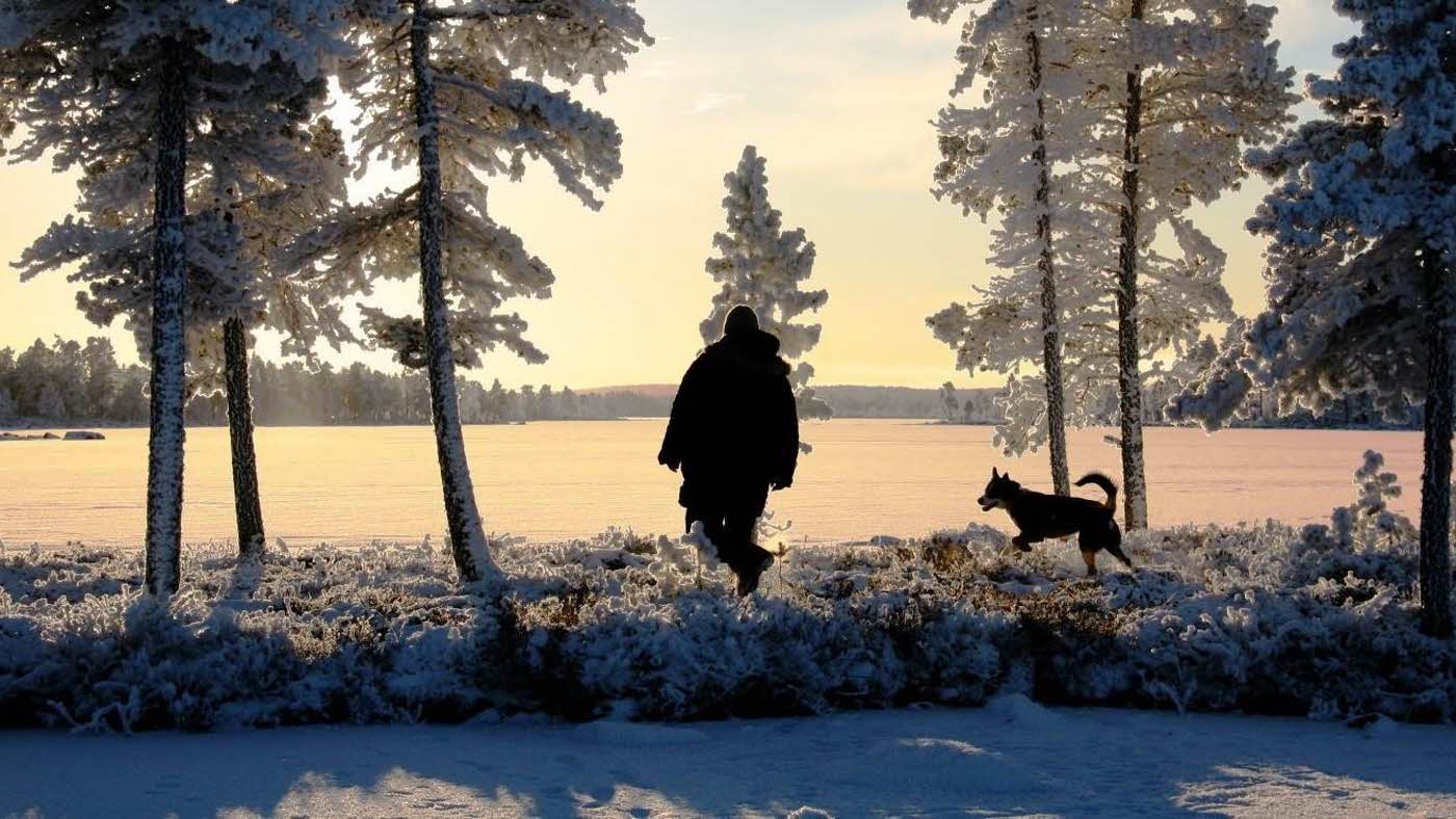 mann som går ute i naturen på vinteren vakker natur