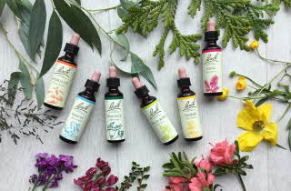 Seks forskjellige flasker med Bach Remedy ligger omringet av blomster