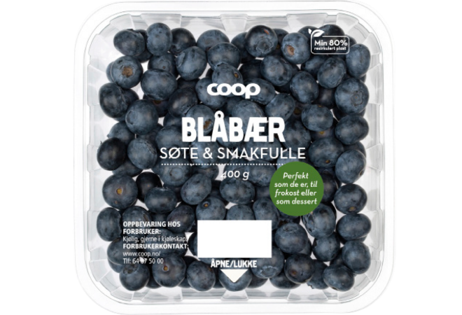 bilde av blåbær