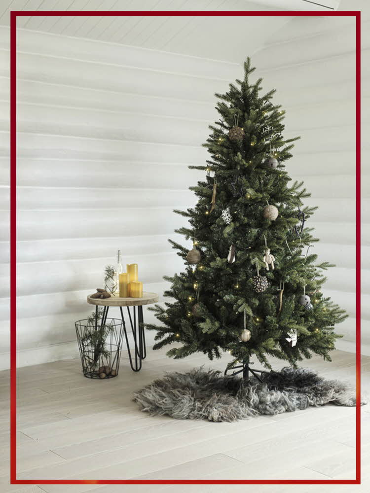 Juletra