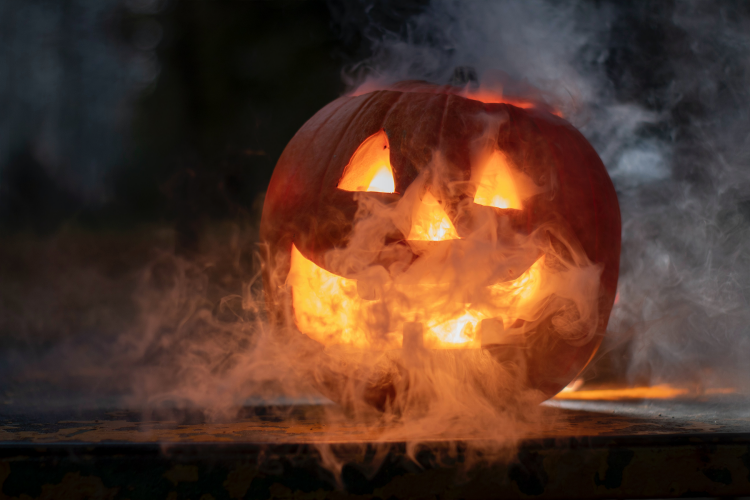halloween gresskar stemningsbilde