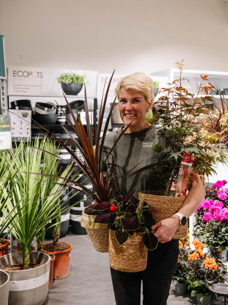 dame holder planter