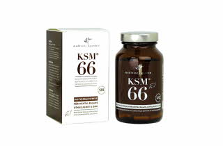 KSM 66