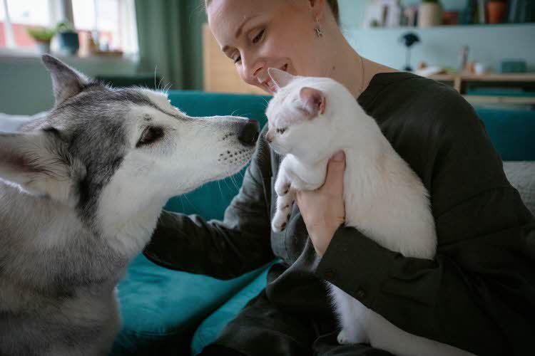 Hund og katt med dame