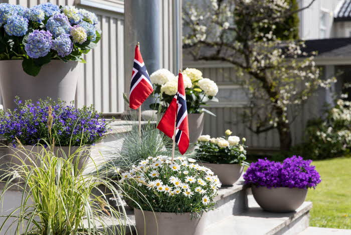 Blomster og pynt fra Mester Grønn