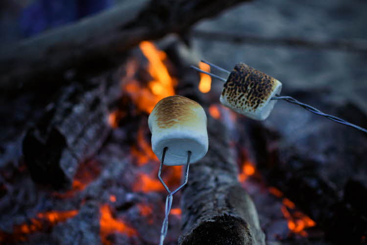 To metallpinner med marshmallows over bål