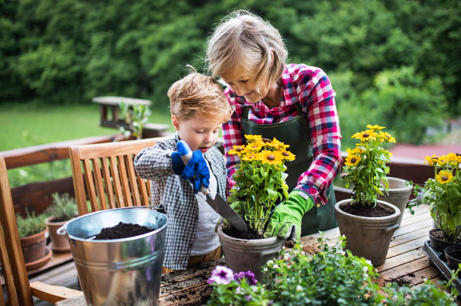 Liten gutt og eldre dame omplante blomster