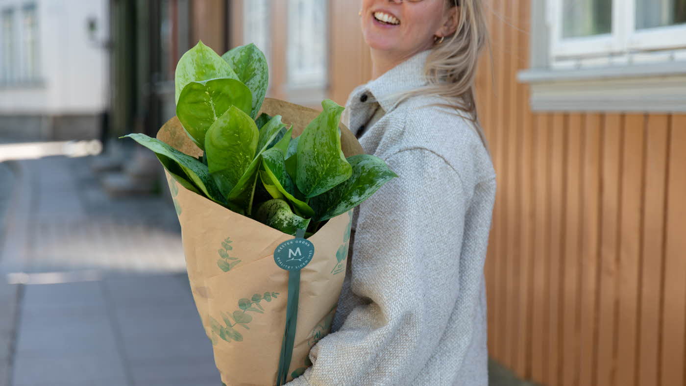 Dame med plante fra Mester Grønn