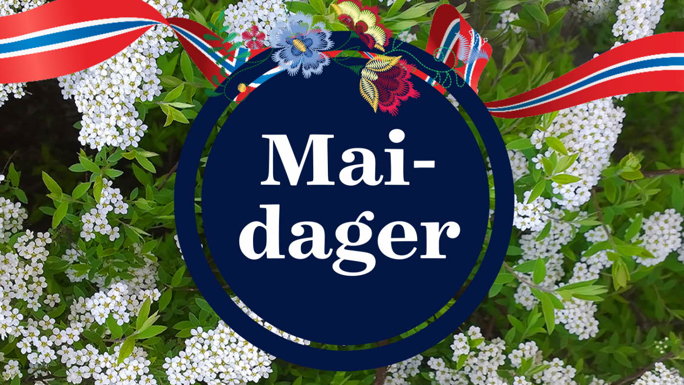 hvite og grønne blomster, norgesflagg på tvers og mørkeblå boble med hvit tekst Maidager