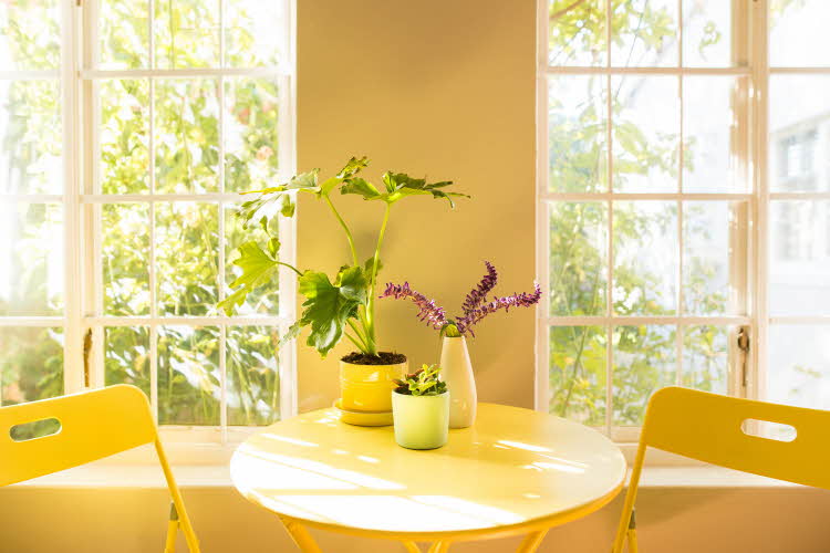 Gult bord med blomster og gule stoler foran solfylt vindu