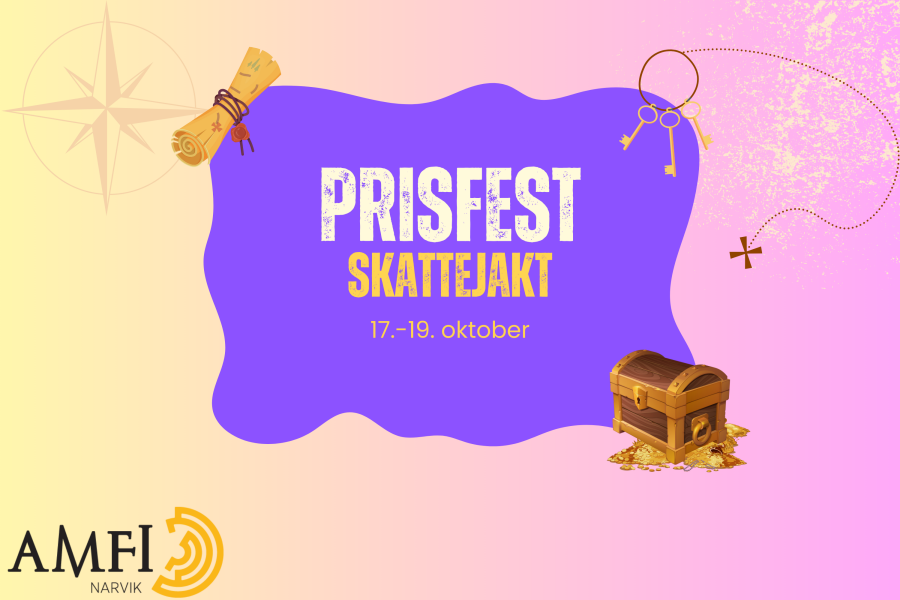 Skattejakt