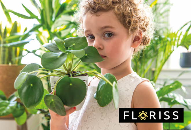ett barn som gjømmer seg bak en grønn plante
