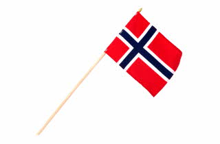Et lite norsk flagg