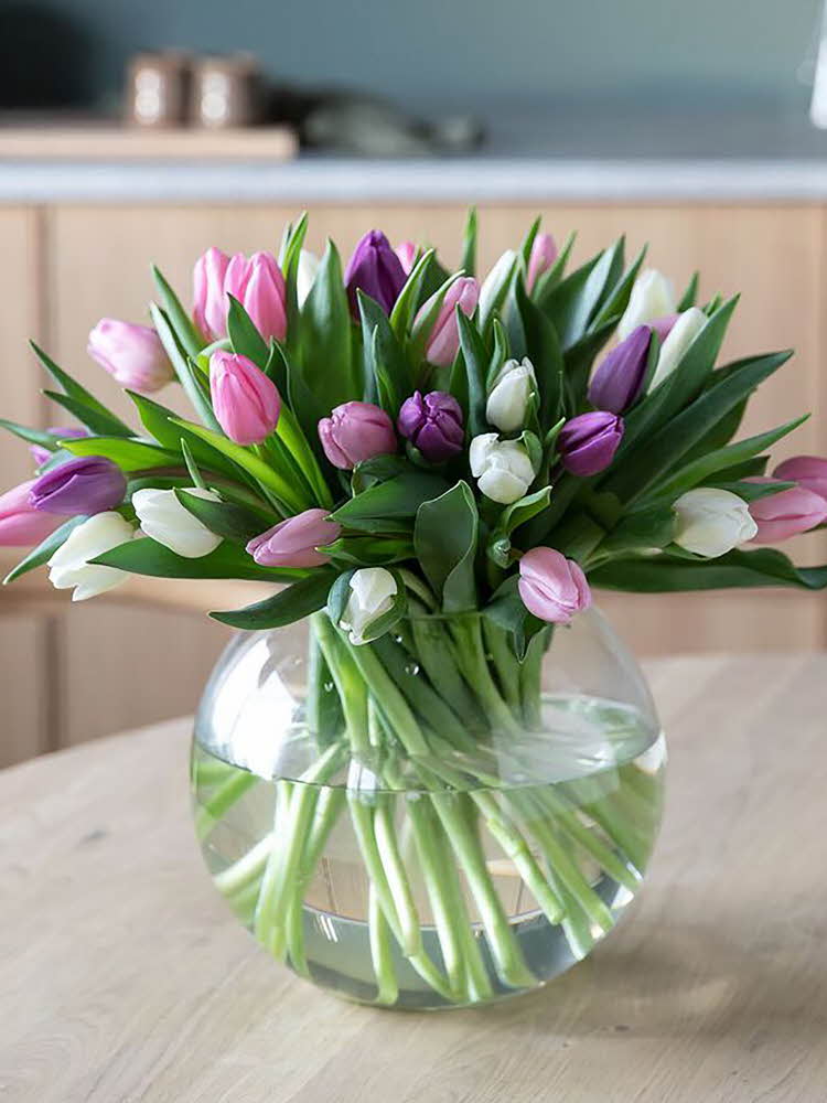 Stor bukett med tulipaner i ulike farger, dandert i en rund glassvase