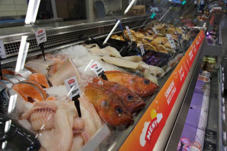 Fiskedisken