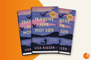 Tre eksemplarer av boken «Tranene flyr mot sør» av Lisa Ridzén.