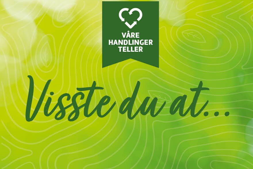 teksten "visste du at"