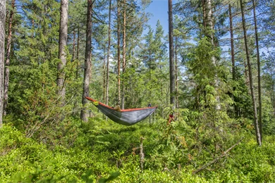 Bilde av en mann som ligger in en hengekøye i skogen