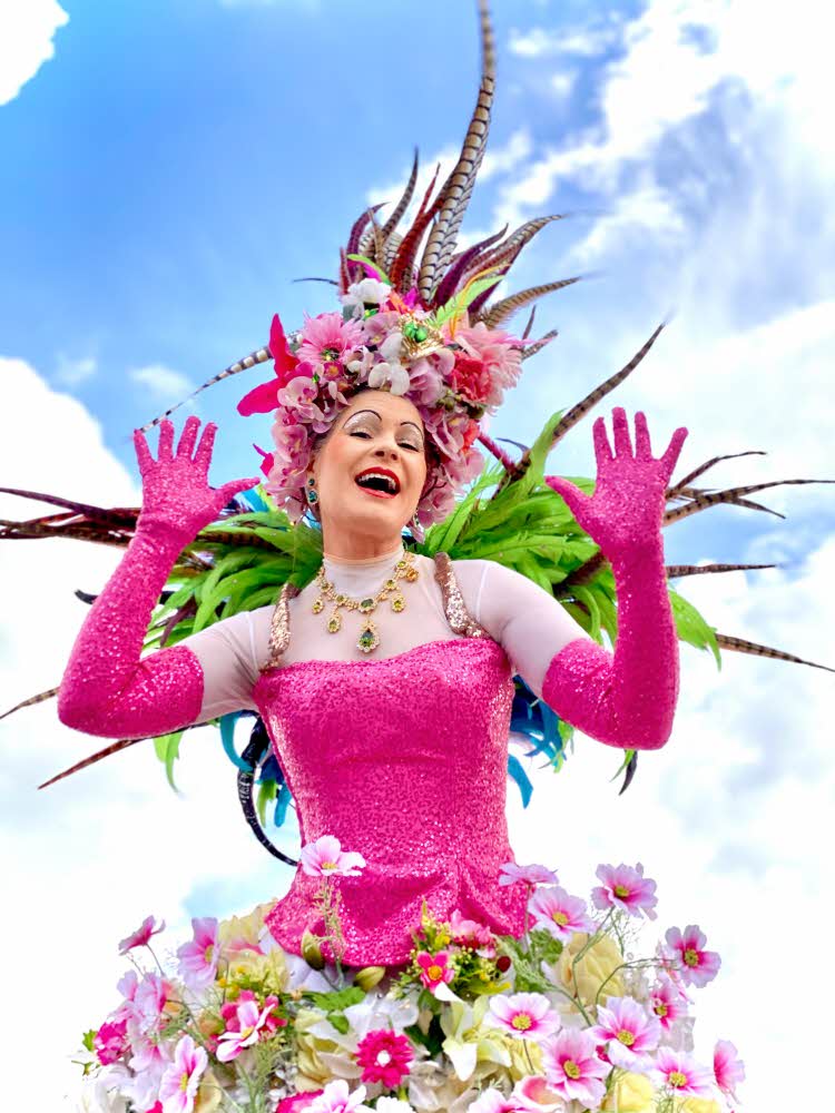 Mama La Samba