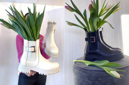 sapatos