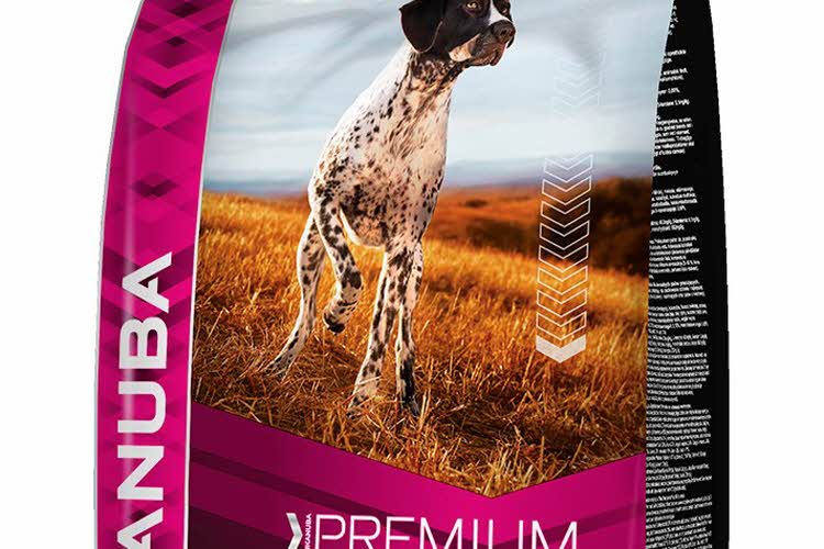 hundeforsekk