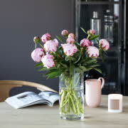 hvite og rosa blomstrer i en vase med vann
