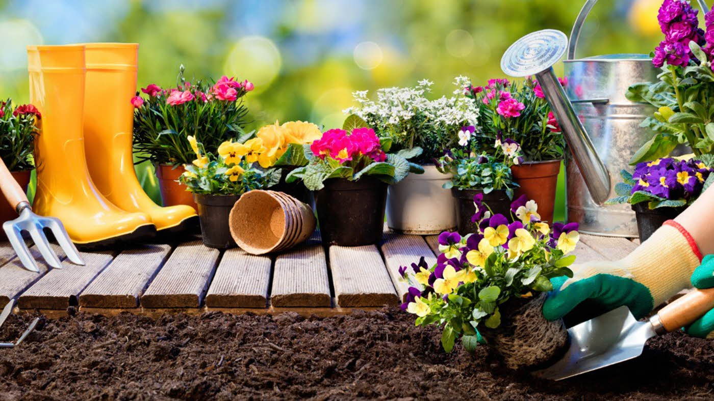 Person planter blomster