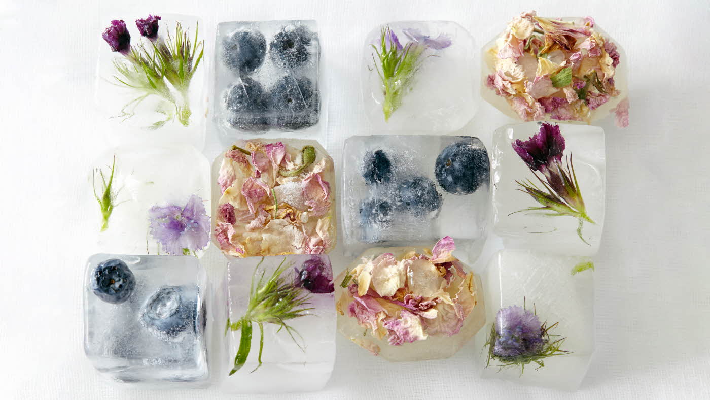 Firkantede isbiter fylt med blåbær eller blomster