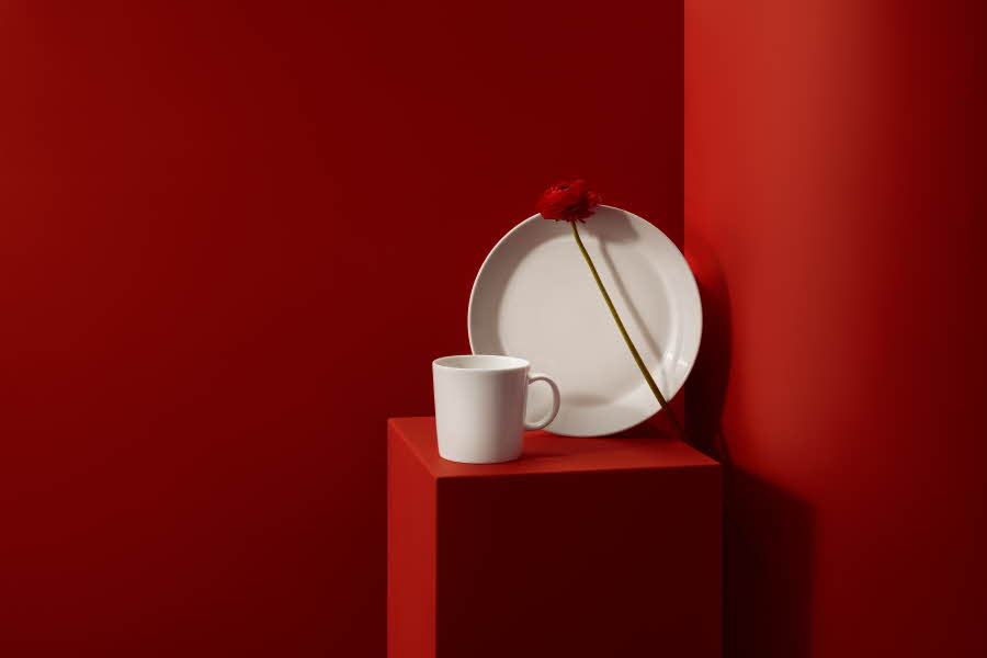 hvitt krus og tallerken fra iittala hos kitch'n på mørkerød platå med mørkerøde vegger i bakgrunnen