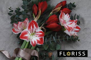 bilde av en blomster