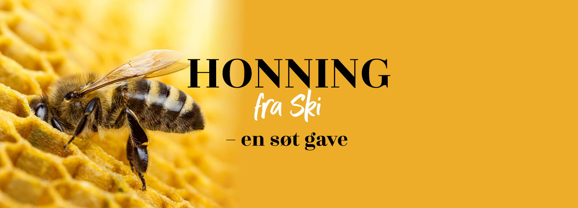 Toppbanner til nettsiden. Et gult bilde av en bie med teksten "Honning fra Ski - en søt gave"