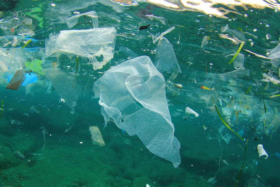 Færre plastposer er bedre både for miljøet og lommeboken.