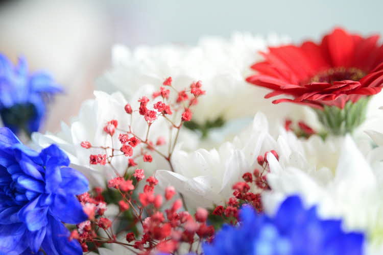 Nærbilde av røde, hvite og blå blomster. Foto til artikkel om dekorasjoner til 17. mai.