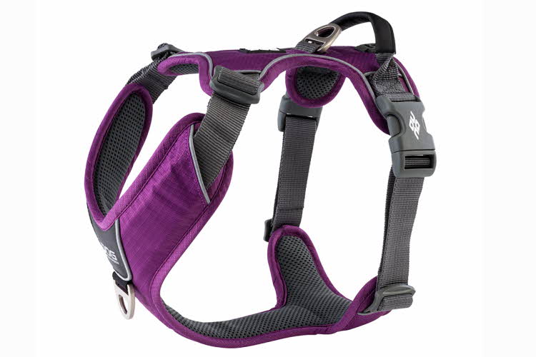 lilla hundesele