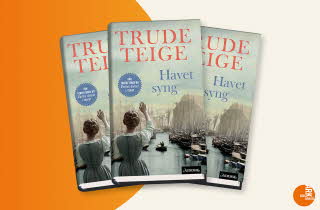 Tre bøker med "Havet syng" av Trude Teige