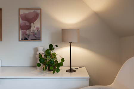 En bordlampe og en plante
