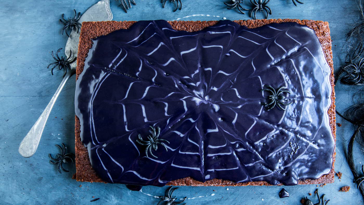 Sjokoladekake i langpanne med melis formet som et spindelvev