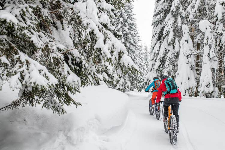 To personer på sykkel i snøen mellom høye trær