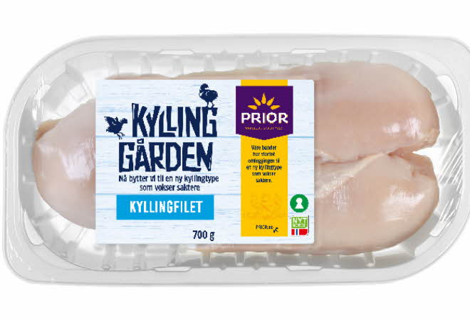 bilde av kylling fra kylling gården