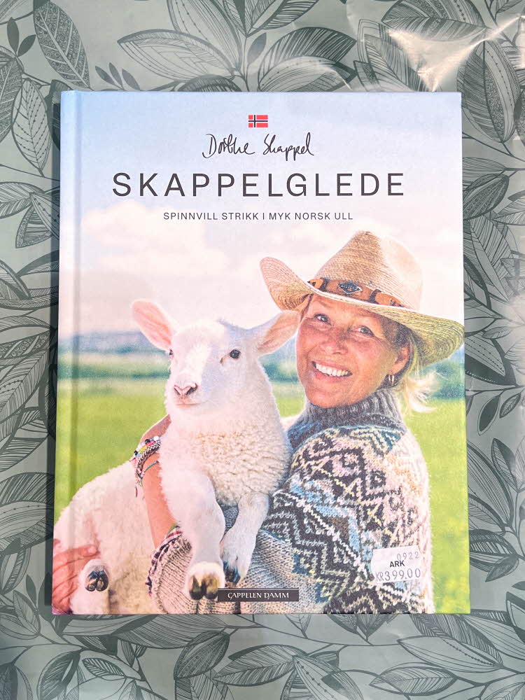 Bokomslaget til Dorthe Skappel sin bok